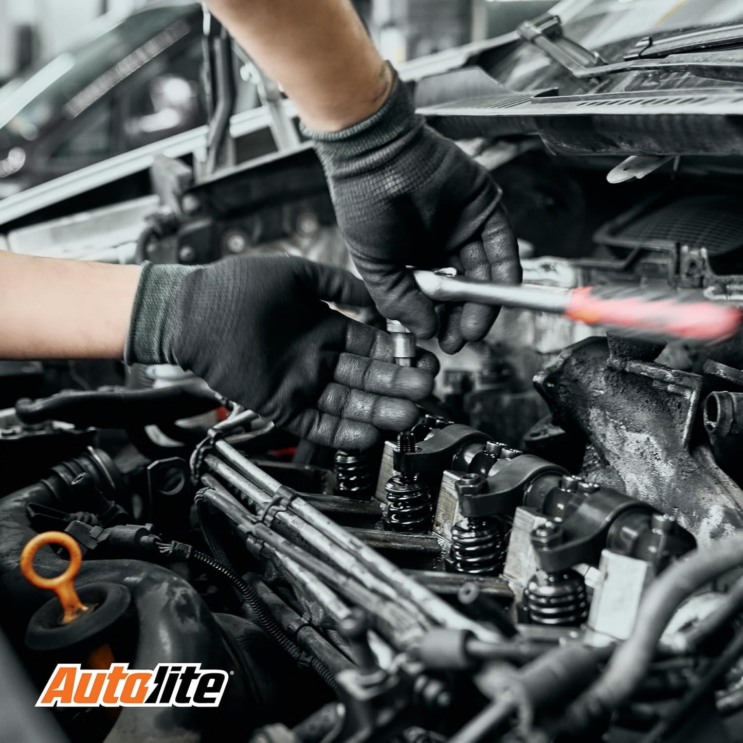 Autolite Iridium XP Automotive Replacement Spark Plugs, XP5325 (Pack of 4)