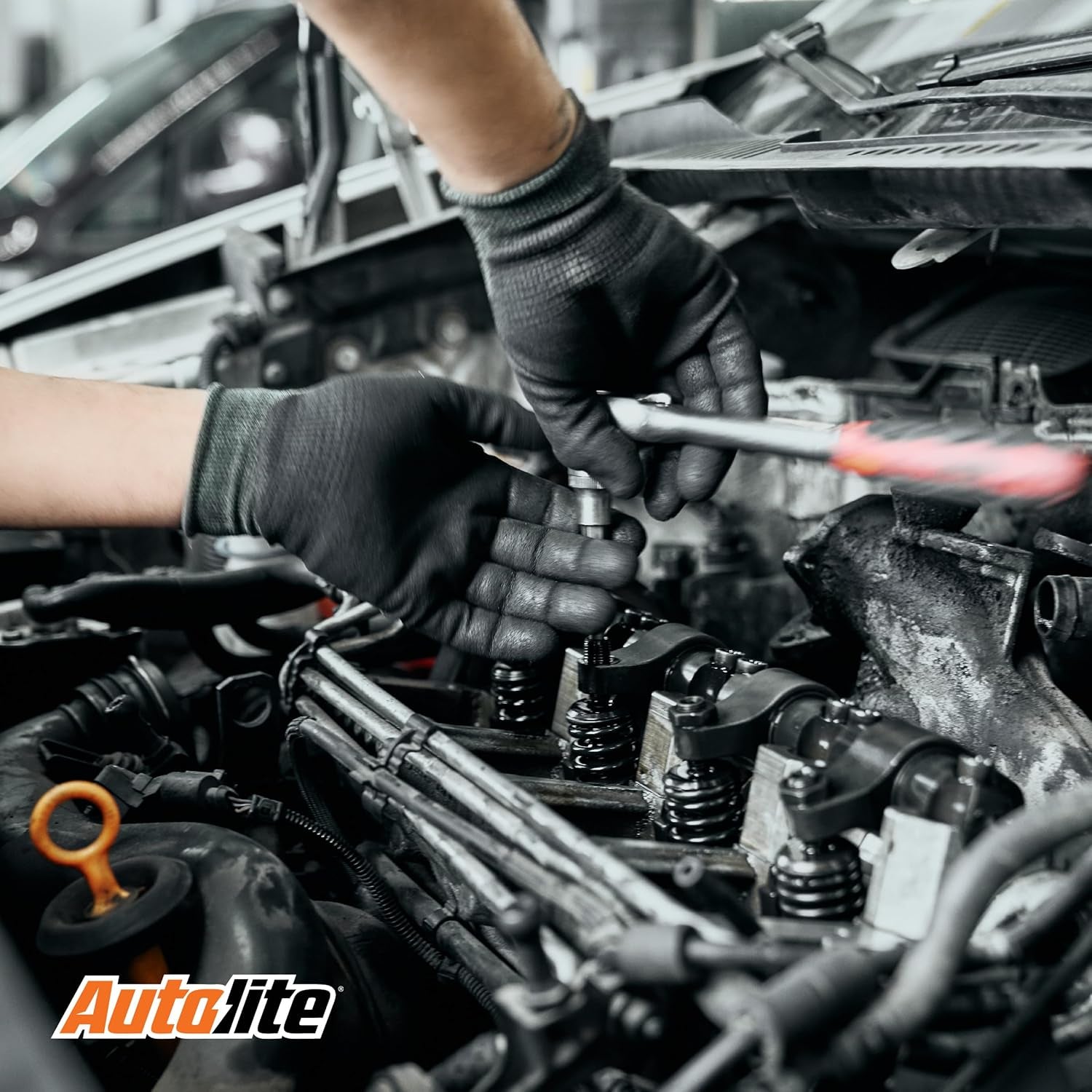 Autolite Iridium XP Automotive Replacement Spark Plugs, XP5325 (Pack of 4)